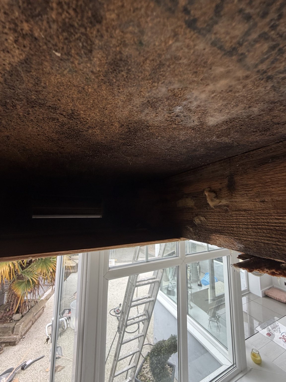 Water damaged property restoration
