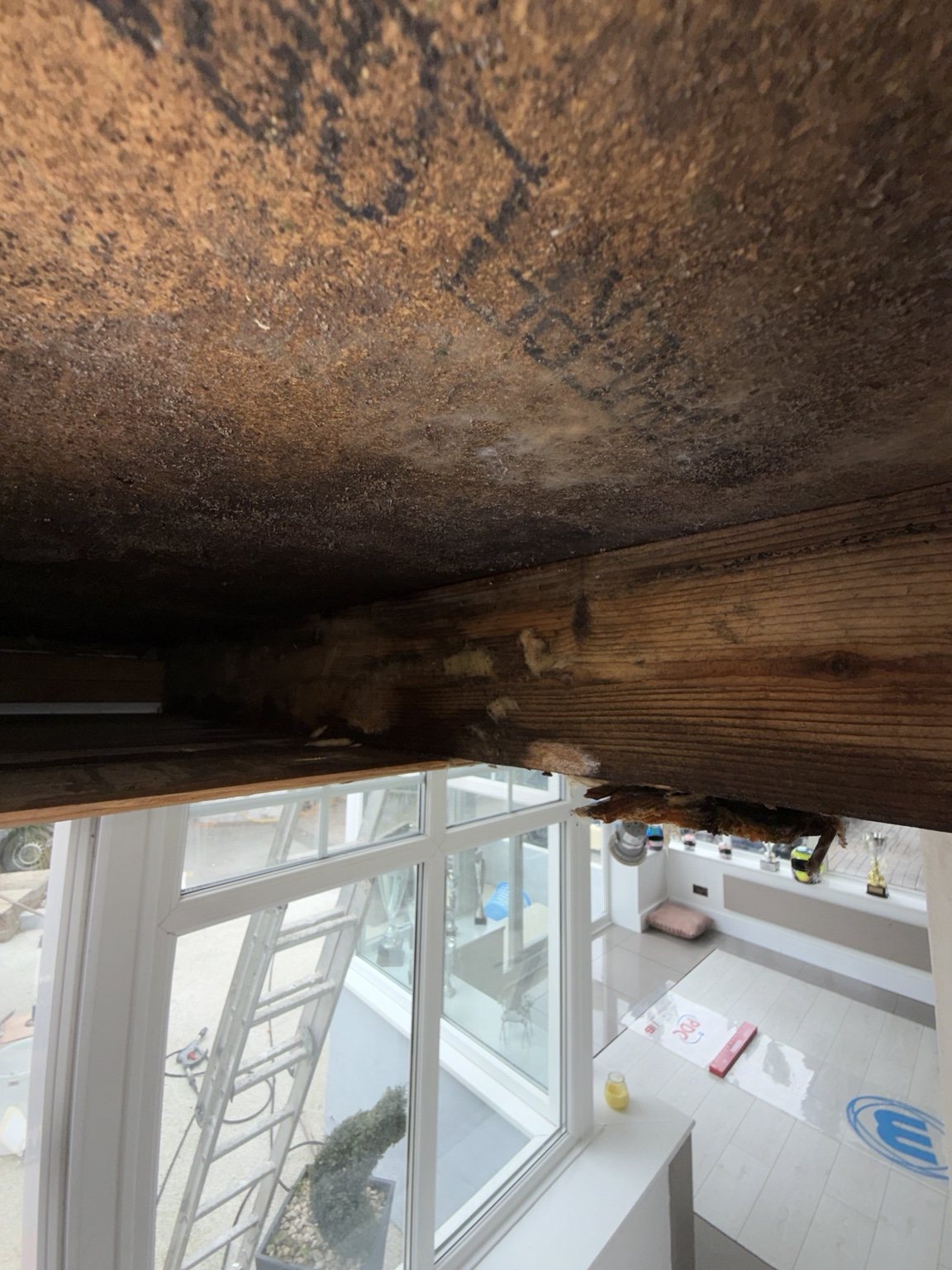 Water damage restoration